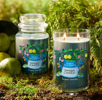 Garden Rain Shower - Bergamot · Wood Moss
